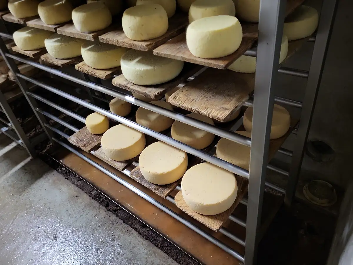 Visite de la ferme