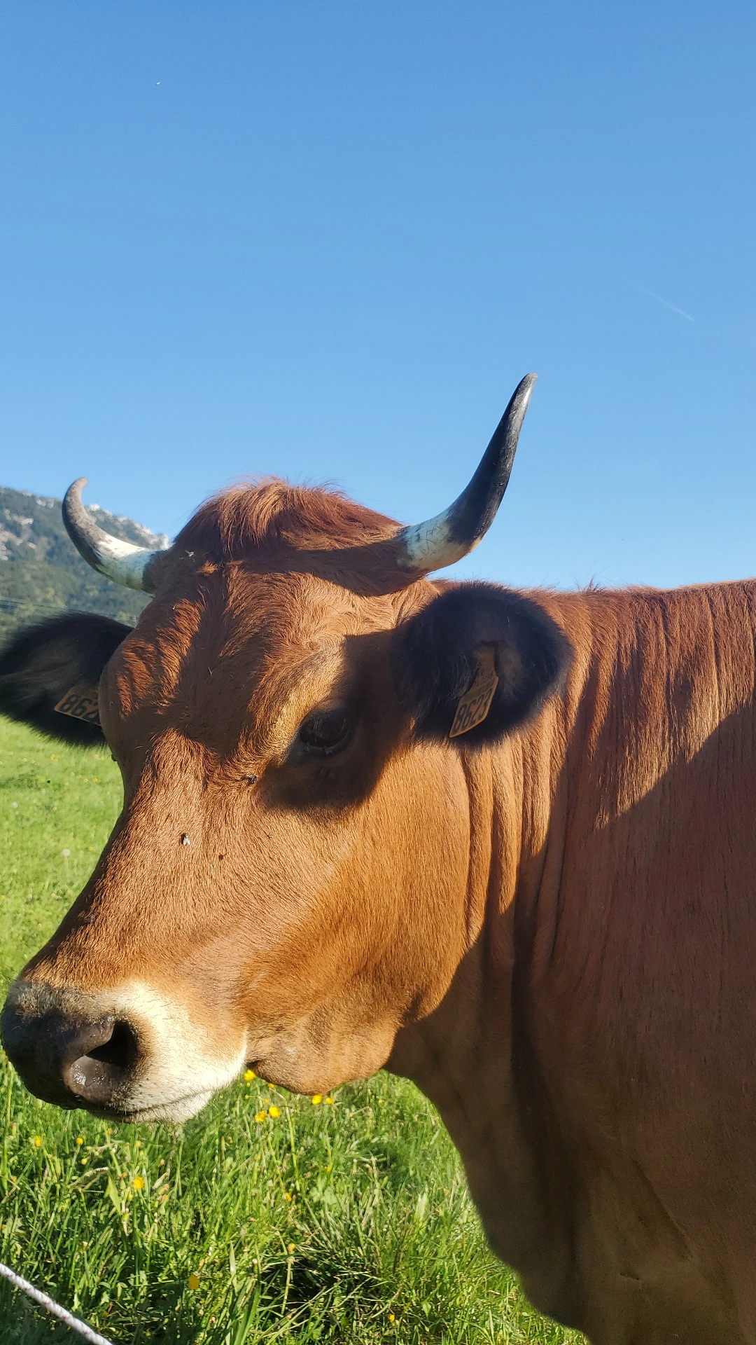 Visite de la ferme