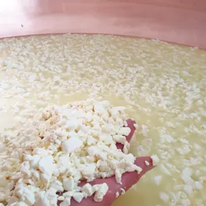 Produire sa Tomme blanche